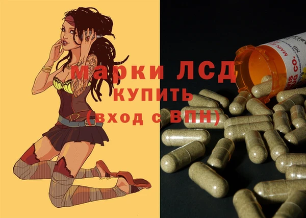 мяу мяу мука Магадан