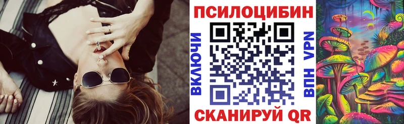mega   Шали  Псилоцибиновые грибы Cubensis  купить  