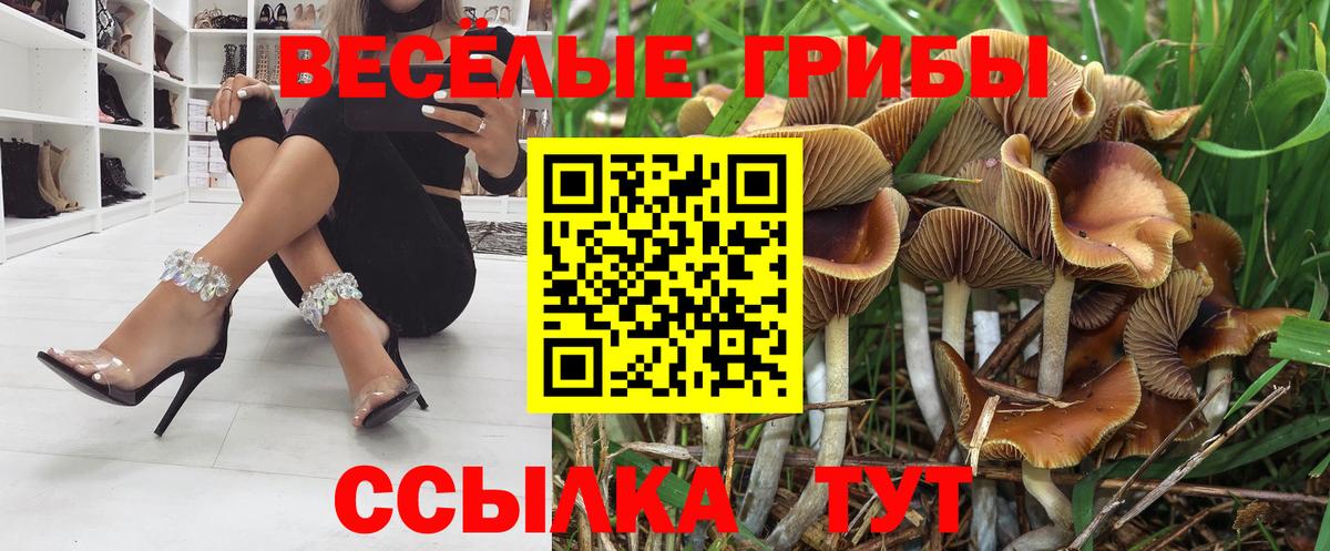 Псилоцибиновые грибы Magic Shrooms  Псилоцибиновые грибы GOLDEN TEACHER  Шали 