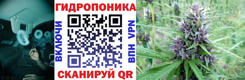 Конопля конопля  сколько стоит  Шали 